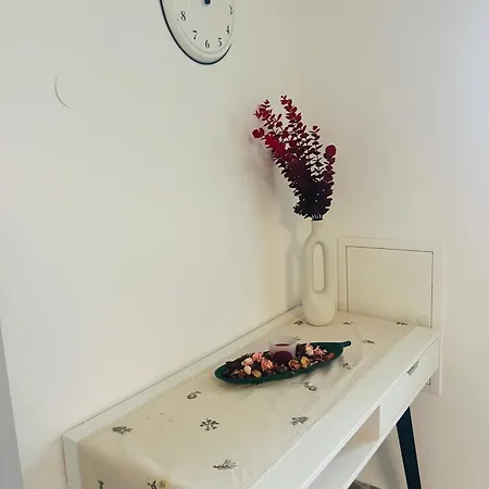 Vimaju Koper